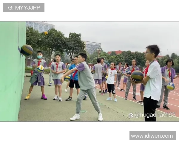 成都排球队技术争议引发热议球迷与专家观点碰撞探讨战术发展